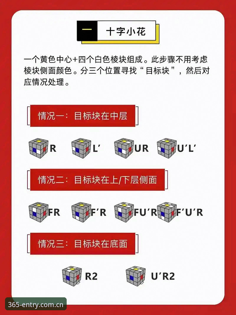 法网观赛进阶教程：从新手到大神的三步操作指南
